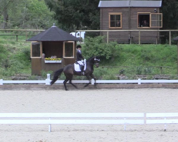 Reitturnier Mettmann - Reitanlage Löckenhoff 2017