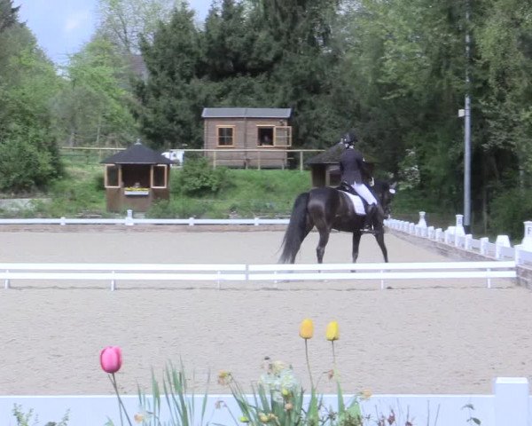 Reitturnier Mettmann - Reitanlage Löckenhoff 2017