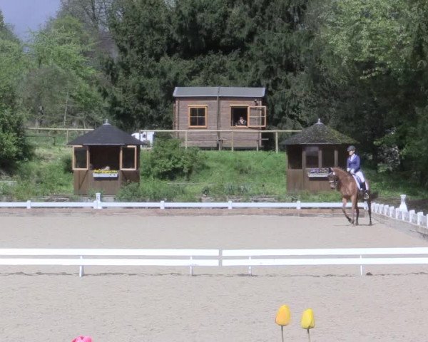 Reitturnier Mettmann - Reitanlage Löckenhoff 2017