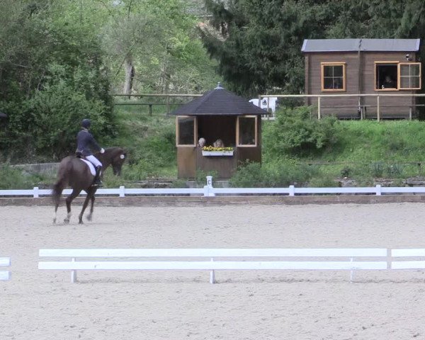 Reitturnier Mettmann - Reitanlage Löckenhoff 2017