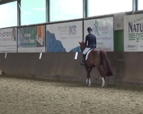 Dressurturnier Jüchen-Waat 2017