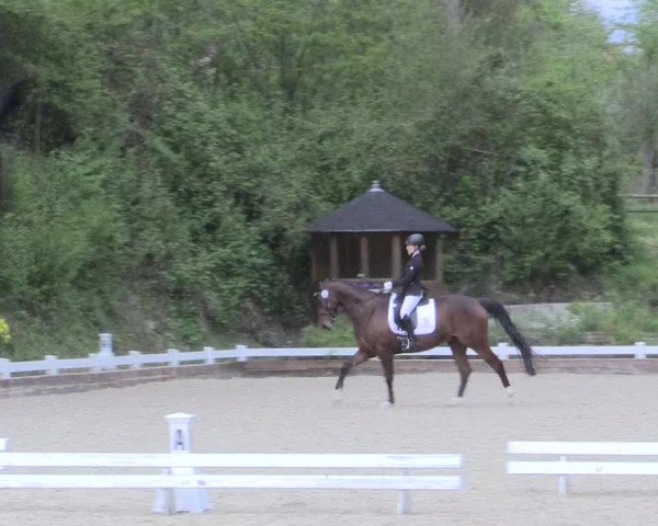 Reitturnier Mettmann - Reitanlage Löckenhoff 2017