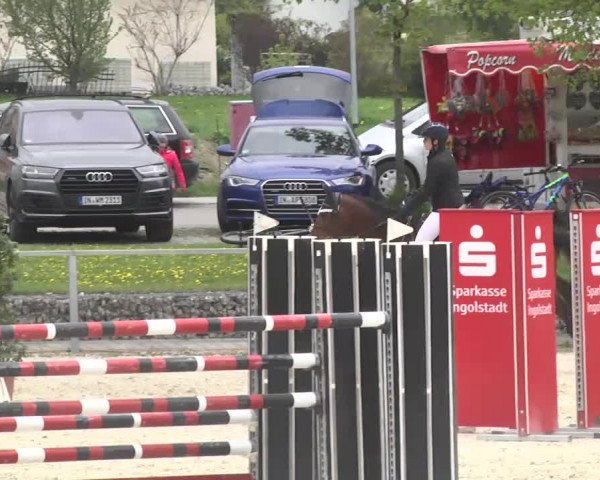 Frühjahrsturnier Ingolstadt Hagau 2017