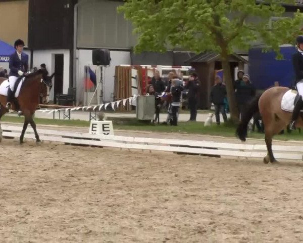 Frühjahrsturnier Ingolstadt Hagau 2017