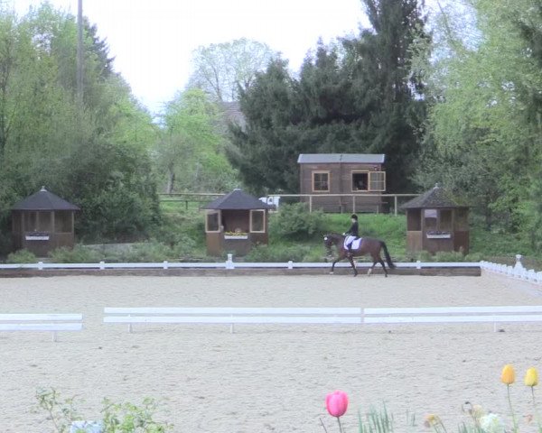 Reitturnier Mettmann - Reitanlage Löckenhoff 2017