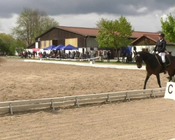 Frühjahrsturnier Ingolstadt Hagau 2017