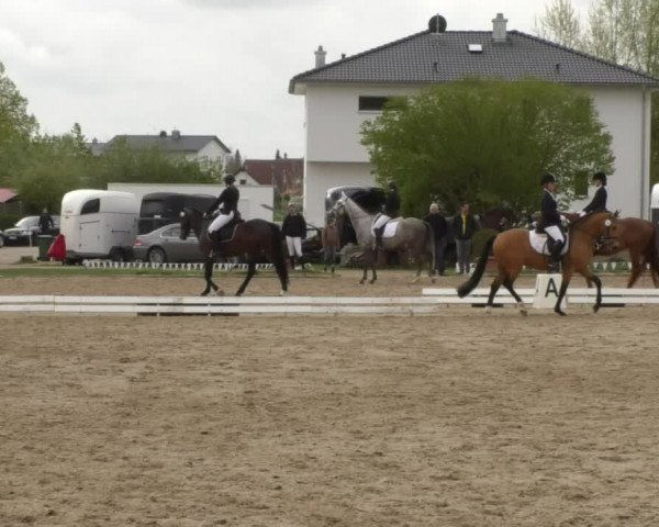 Frühjahrsturnier Ingolstadt Hagau 2017