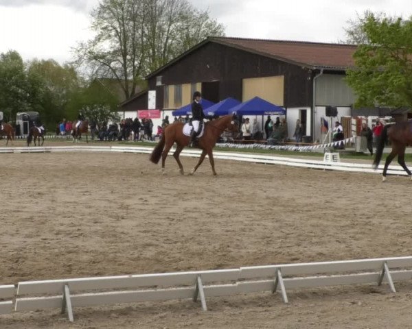 Frühjahrsturnier Ingolstadt Hagau 2017