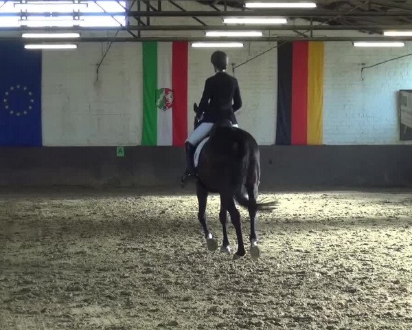 Dressurturnier Jüchen-Waat 2017
