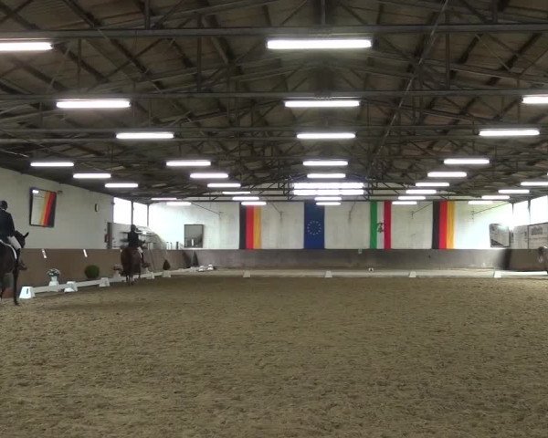 Dressurturnier Jüchen-Waat 2017