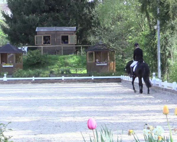 Reitturnier Mettmann - Reitanlage Löckenhoff 2017