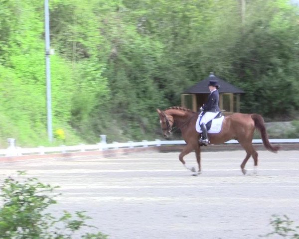 Reitturnier Mettmann - Reitanlage Löckenhoff 2017