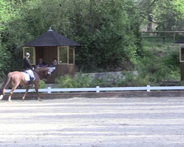 Reitturnier Mettmann - Reitanlage Löckenhoff 2017