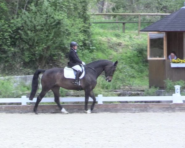 Reitturnier Mettmann - Reitanlage Löckenhoff 2017