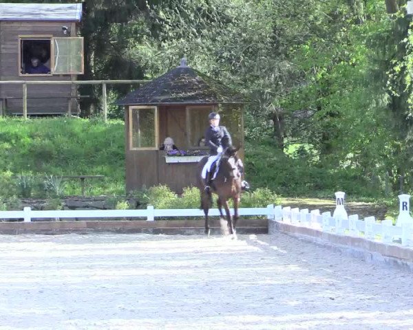 Reitturnier Mettmann - Reitanlage Löckenhoff 2017