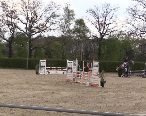 Reitturnier Olfen-Vinnum 2017