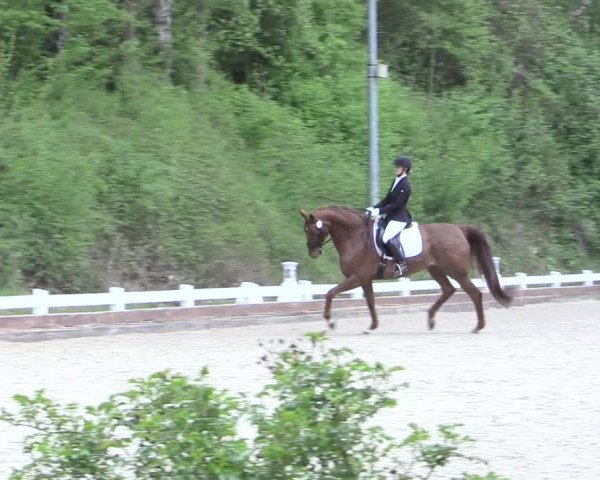 Reitturnier Mettmann - Reitanlage Löckenhoff 2017