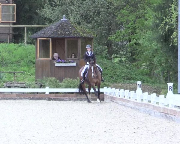 Reitturnier Mettmann - Reitanlage Löckenhoff 2017