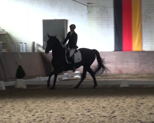 Dressurturnier Jüchen-Waat 2017