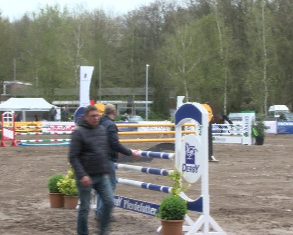 Reitturnier Bad Schwartau 2017