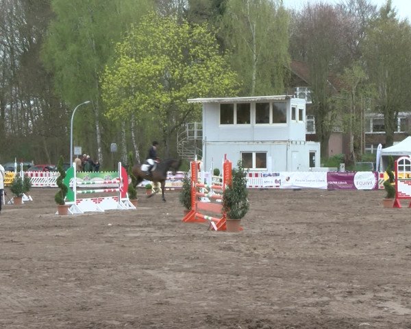 Reitturnier Bad Schwartau 2017