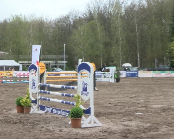 Reitturnier Bad Schwartau 2017