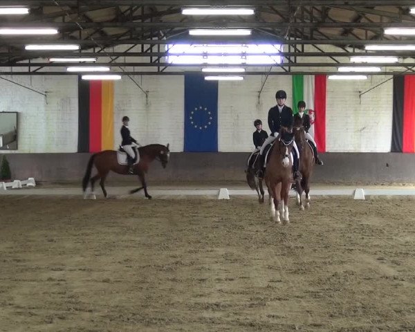 Dressurturnier Jüchen-Waat 2017