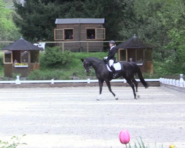 Reitturnier Mettmann - Reitanlage Löckenhoff 2017