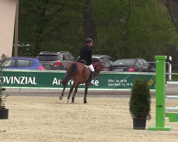 Reitturnier Olfen-Vinnum 2017