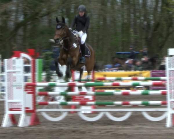 Reitturnier Bad Schwartau 2017