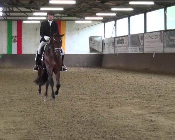Dressurturnier Jüchen-Waat 2017