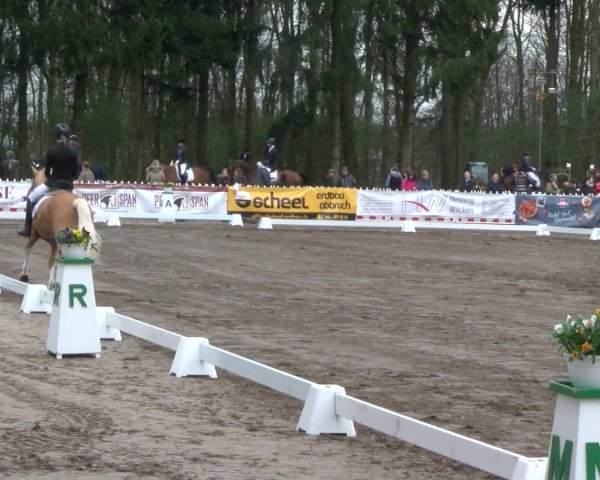 Reitturnier Bad Schwartau 2017