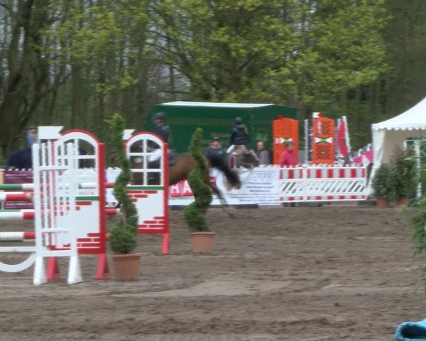 Reitturnier Bad Schwartau 2017
