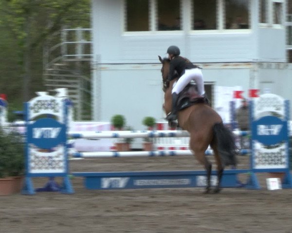 Reitturnier Bad Schwartau 2017