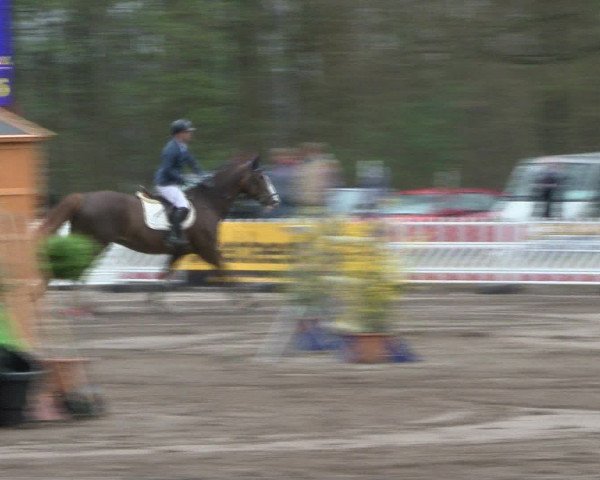 Reitturnier Bad Schwartau 2017