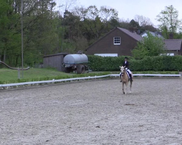 Reitturnier Olfen-Vinnum 2017