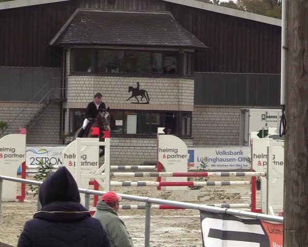 Reitturnier Olfen-Vinnum 2017