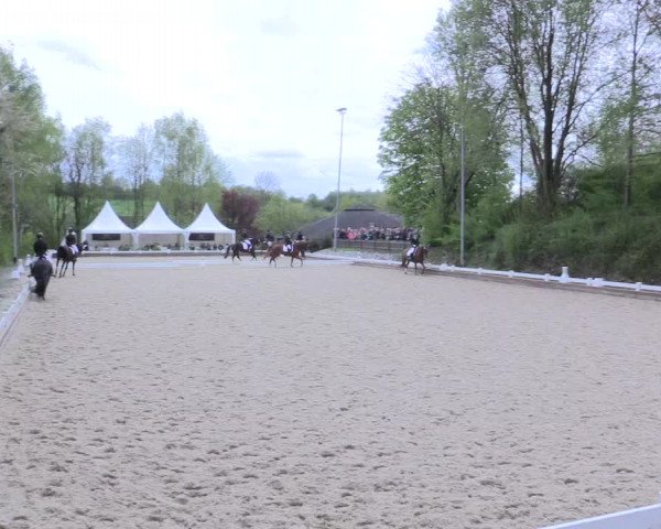 Reitturnier Mettmann - Reitanlage Löckenhoff 2017