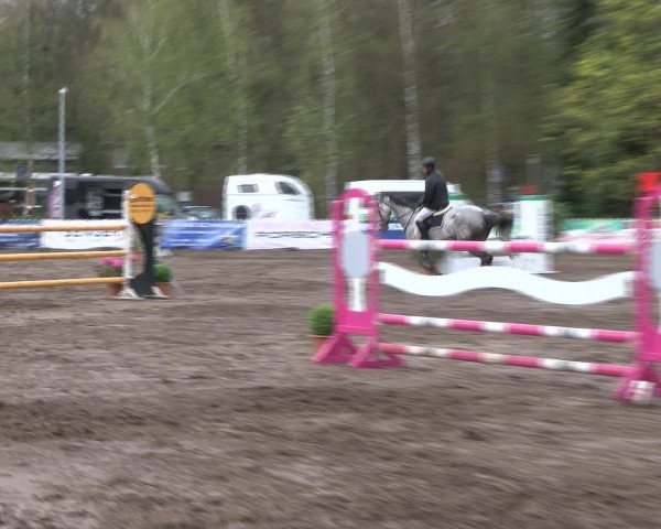 Reitturnier Bad Schwartau 2017
