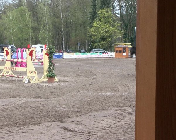 Reitturnier Bad Schwartau 2017
