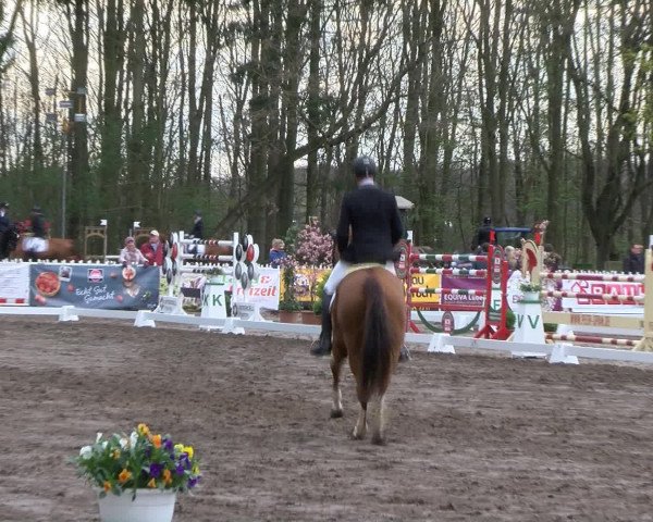 Reitturnier Bad Schwartau 2017