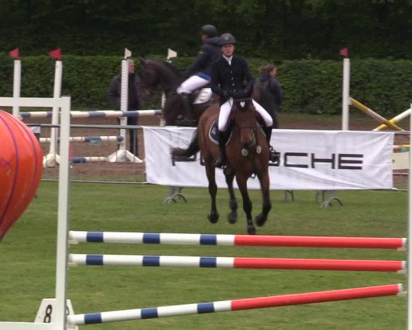 Reitturnier Jülich 2017