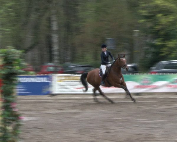 Reitturnier Bad Schwartau 2017