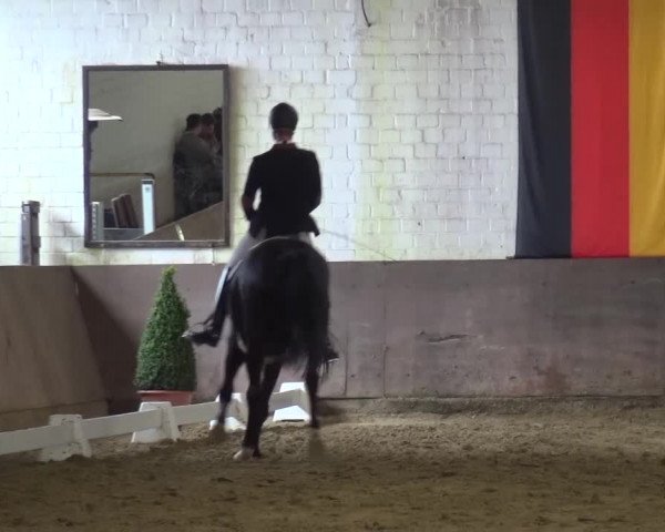 Dressurturnier Jüchen-Waat 2017