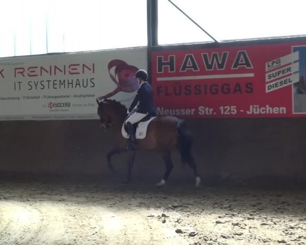 Dressurturnier Jüchen-Waat 2017