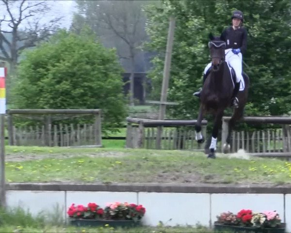 Reitturnier Olfen-Vinnum 2017