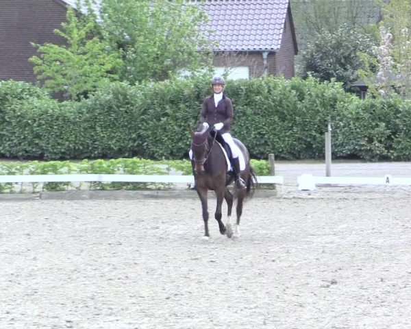 Reitturnier Olfen-Vinnum 2017