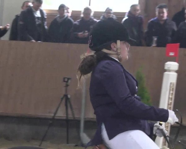 Reitturnier Leutkirch-Diepoldshofen 2017