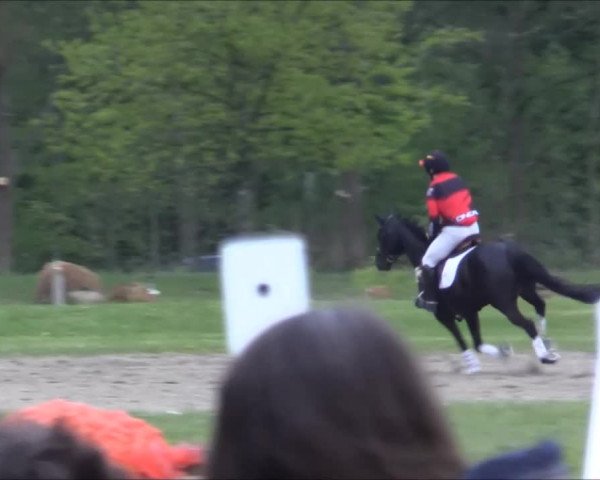 Reitturnier Olfen-Vinnum 2017
