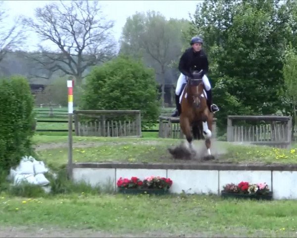 Reitturnier Olfen-Vinnum 2017